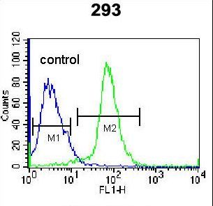 EPGN / Epigen Antibody - EPGN Antibody flow cytometry of 293 cells (right histogram) compared to a negative control cell (left histogram). FITC-conjugated goat-anti-rabbit secondary antibodies were used for the analysis.