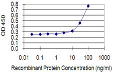 EPHA1 / EPH Receptor A1 Antibody - Detection limit for recombinant GST tagged EPHA1 is 1 ng/ml as a capture antibody.