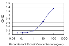 EPHA4 / EPH Receptor A4 Antibody - Detection limit for recombinant GST tagged EPHA4 is approximately 0.1 ng/ml as a capture antibody.