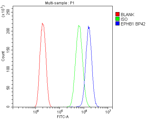 EPHB1 / EPH Receptor B1 Antibody - Flow Cytometry analysis of U20S cells using anti-Eph receptor B1 antibody. Overlay histogram showing U20S cells stained with anti-Eph receptor B1 antibody (Blue line). The cells were blocked with 10% normal goat serum. And then incubated with rabbit anti-Eph receptor B1 Antibody (1µg/10E6 cells) for 30 min at 20°C. DyLight®488 conjugated goat anti-rabbit IgG (5-10µg/10E6 cells) was used as secondary antibody for 30 minutes at 20°C. Isotype control antibody (Green line) was rabbit IgG (1µg/10E6 cells) used under the same conditions. Unlabelled sample (Red line) was also used as a control.