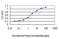 EPHB4 / EPH Receptor B4 Antibody - Detection limit for recombinant GST tagged EPHB4 is approximately 0.1 ng/ml as a capture antibody.