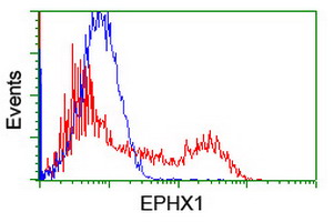 EPHX1 / Epoxide Hydrolase 1 Antibody - HEK293T cells transfected with either overexpress plasmid (Red) or empty vector control plasmid (Blue) were immunostained by anti-EPHX1 antibody, and then analyzed by flow cytometry.