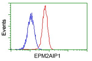 EPM2AIP1 Antibody - Flow cytometry of Jurkat cells, using anti-EPM2AIP1 antibody, (Red), compared to a nonspecific negative control antibody, (Blue).