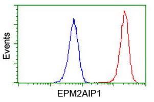 EPM2AIP1 Antibody - Flow cytometry of Jurkat cells, using anti-EPM2AIP1 antibody (Red), compared to a nonspecific negative control antibody (Blue).