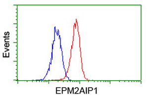 EPM2AIP1 Antibody - Flow cytometry of Jurkat cells, using anti-EPM2AIP1 antibody (Red), compared to a nonspecific negative control antibody (Blue).