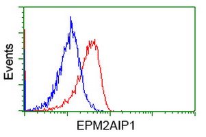 EPM2AIP1 Antibody - Flow cytometry of Jurkat cells, using anti-EPM2AIP1 antibody, (Red), compared to a nonspecific negative control antibody, (Blue).
