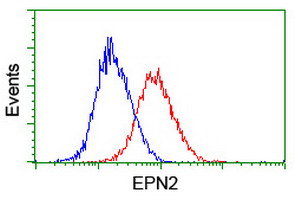 EPN2 Antibody - Flow cytometry of HeLa cells, using anti-EPN2 antibody (Red), compared to a nonspecific negative control antibody (Blue).