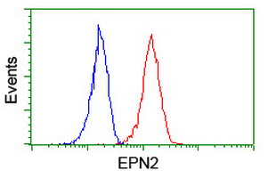 EPN2 Antibody - Flow cytometry of Jurkat cells, using anti-EPN2 antibody (Red), compared to a nonspecific negative control antibody (Blue).
