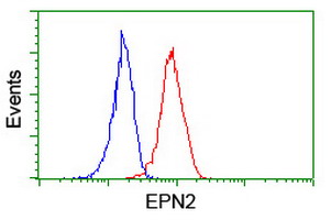 EPN2 Antibody - Flow cytometry of Jurkat cells, using anti-EPN2 antibody (Red), compared to a nonspecific negative control antibody (Blue).