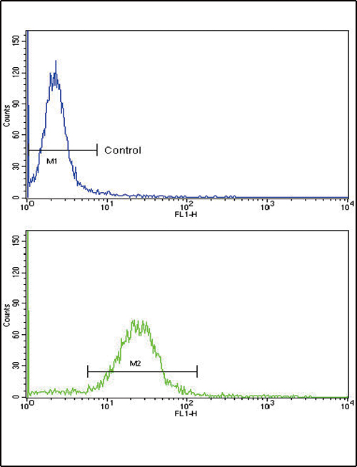 EPN3 Antibody - Flow cytometric of MDA-231 cells using EPN3 Antibody (bottom histogram) compared to a negative control cell (top histogram). FITC-conjugated goat-anti-rabbit secondary antibodies were used for the analysis.