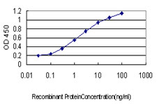 EPOR / EPO Receptor Antibody - Detection limit for recombinant GST tagged EPOR is approximately 0.03 ng/ml as a capture antibody.