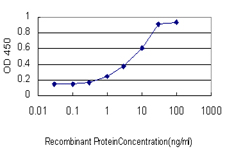 ER81 / ETV1 Antibody - Detection limit for recombinant GST tagged ETV1 is approximately 1 ng/ml as a capture antibody.