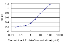 ERBB3 / HER3 Antibody - Detection limit for recombinant GST tagged ERBB3 is approximately 0.1 ng/ml as a capture antibody.
