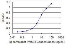 EREG / Epiregulin Antibody - Detection limit for recombinant GST tagged EREG is 0.1 ng/ml as a capture antibody.