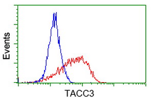 ERIC-1 / TACC3 Antibody - Flow cytometry of Jurkat cells, using anti-TACC3 antibody, (Red), compared to a nonspecific negative control antibody, (Blue).
