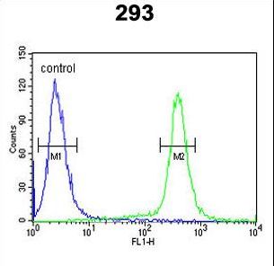 ESPN / Espin Antibody - ESPN Antibody flow cytometry of 293 cells (right histogram) compared to a negative control cell (left histogram). FITC-conjugated goat-anti-rabbit secondary antibodies were used for the analysis.