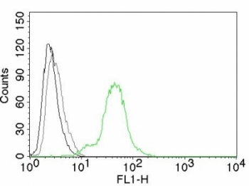 ESR2 / ER Beta Antibody - Flow cytometry testing of BT474 cells. Black: cells alone; Grey: isotype control; Green: AF488-labeled Estrogen Receptor beta antibody (ESR2/686).  This image was taken for the unmodified form of this product. Other forms have not been tested.