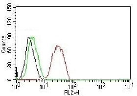 ESR2 / ER Beta Antibody - FACS testing of MCF-7 cells: Black=cells alone; Green=isotype control; Red=Estrogen Receptor beta antibody PE conjugate.  This image was taken for the unmodified form of this product. Other forms have not been tested.