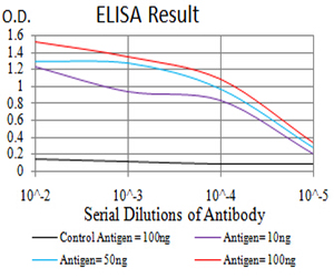 ESRRA / ERR Alpha Antibody - Black line: Control Antigen (100 ng);Purple line: Antigen (10ng); Blue line: Antigen (50 ng); Red line:Antigen (100 ng)