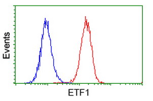 ETF1 / ERF1 Antibody - Flow cytometry of HeLa cells, using anti-ETF1 antibody (Red), compared to a nonspecific negative control antibody (Blue).