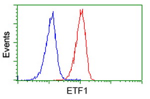 ETF1 / ERF1 Antibody - Flow cytometry of Jurkat cells, using anti-ETF1 antibody (Red), compared to a nonspecific negative control antibody (Blue).