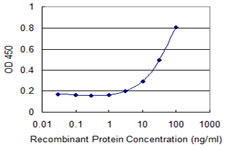 ETFA Antibody - Detection limit for recombinant GST tagged ETFA is 1 ng/ml as a capture antibody.