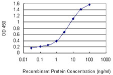 ETK / BMX Antibody - Detection limit for recombinant GST tagged BMX is 0.03 ng/ml as a capture antibody.