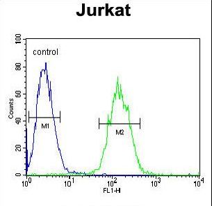 ETS1 / ETS-1 Antibody - ETS1 Antibody flow cytometry of Jurkat cells (right histogram) compared to a negative control cell (left histogram). FITC-conjugated goat-anti-rabbit secondary antibodies were used for the analysis.