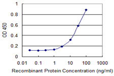 ETS1 / ETS-1 Antibody - Detection limit for recombinant GST tagged ETS1 is 1 ng/ml as a capture antibody.