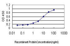 ETV6 / TEL Antibody - Detection limit for recombinant GST tagged ETV6 is approximately 0.1 ng/ml as a capture antibody.