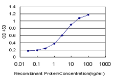 EVI2B Antibody - Detection limit for recombinant GST tagged EVI2B is approximately 0.1 ng/ml as a capture antibody.