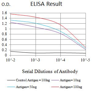 EVI2B Antibody - Black line: Control Antigen (100 ng);Purple line: Antigen (10ng); Blue line: Antigen (50 ng); Red line:Antigen (100 ng)