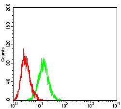 EVI2B Antibody - Flow cytometric analysis of HL-60 cells using CD361 mouse mAb (green) and negative control (red).