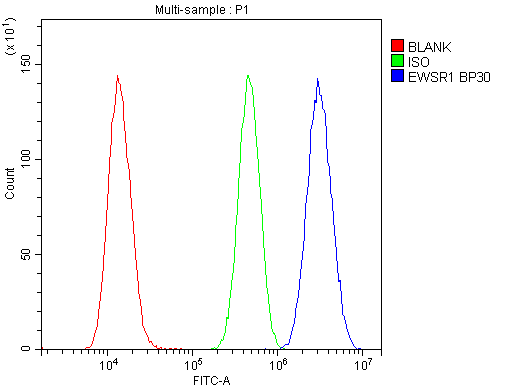 EWSR1 / EWS Antibody - Flow Cytometry analysis of U20S cells using anti-EWSR1 antibody. Overlay histogram showing U20S cells stained withanti-EWSR1 antibody (Blue line). The cells were blocked with 10% normal goat serum. And then incubated with rabbit anti-EWSR1 Antibody (1µg/10E6 cells) for 30 min at 20°C. DyLight®488 conjugated goat anti-rabbit IgG (5-10µg/10E6 cells) was used as secondary antibody for 30 minutes at 20°C. Isotype control antibody (Green line) was rabbit IgG (1µg/10E6 cells) used under the same conditions. Unlabelled sample (Red line) was also used as a control.