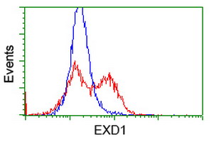 EXD1 Antibody - HEK293T cells transfected with either overexpress plasmid (Red) or empty vector control plasmid (Blue) were immunostained by anti-EXD1 antibody, and then analyzed by flow cytometry.