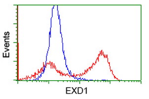 EXD1 Antibody - HEK293T cells transfected with either overexpress plasmid (Red) or empty vector control plasmid (Blue) were immunostained by anti-EXD1 antibody, and then analyzed by flow cytometry.