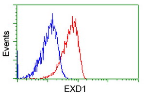 EXD1 Antibody - Flow cytometry of Jurkat cells, using anti-EXD1 antibody (Red), compared to a nonspecific negative control antibody (Blue).