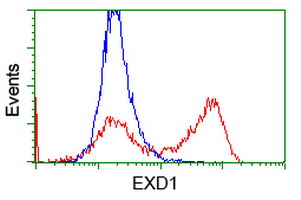 EXD1 Antibody - HEK293T cells transfected with either overexpress plasmid (Red) or empty vector control plasmid (Blue) were immunostained by anti-EXD1 antibody, and then analyzed by flow cytometry.