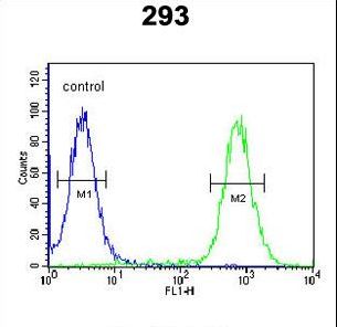 EXOC3L2 Antibody - EXOC3L2 Antibody flow cytometry of 293 cells (right histogram) compared to a negative control cell (left histogram). FITC-conjugated goat-anti-rabbit secondary antibodies were used for the analysis.