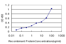EXOC7 Antibody - Detection limit for recombinant GST tagged EXOC7 is approximately 1 ng/ml as a capture antibody.