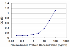 EXOSC10 Antibody - Detection limit for recombinant GST tagged EXOSC10 is approximately 1 ng/ml as a capture antibody.