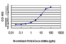 EXOSC3 Antibody - Detection limit for recombinant GST tagged EXOSC3 is approximately 0.03 ng/ml as a capture antibody.