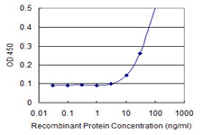 EXOSC5 Antibody - Detection limit for recombinant GST tagged EXOSC5 is 3 ng/ml as a capture antibody.
