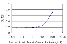 EXT1 Antibody - Detection limit for recombinant GST tagged EXT1 is approximately 3 ng/ml as a capture antibody.