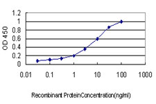 EXT2 Antibody - Detection limit for recombinant GST tagged EXT2 is approximately 0.1 ng/ml as a capture antibody.