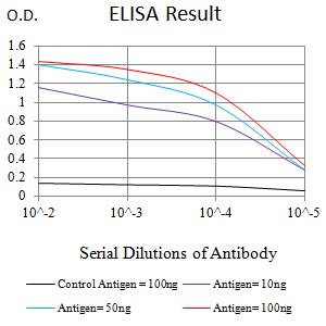 EZH1 / ENX-2 Antibody - Black line: Control Antigen (100 ng);Purple line: Antigen (10ng); Blue line: Antigen (50 ng); Red line:Antigen (100 ng)