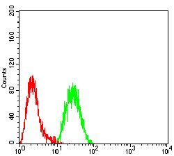 EZH1 / ENX-2 Antibody - Flow cytometric analysis of Hela cells using EZH1 mouse mAb (green) and negative control (red).