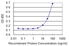 EZR / Ezrin Antibody - Detection limit for recombinant GST tagged EZR is 3 ng/ml as a capture antibody.