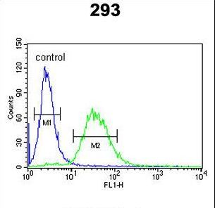 F10 / Factor X Antibody - F10 Antibody flow cytometry of 293 cells (right histogram) compared to a negative control cell (left histogram). FITC-conjugated goat-anti-rabbit secondary antibodies were used for the analysis.