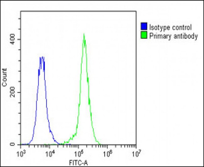 F13A1 / Factor XIIIa Antibody - Overlay histogram showing A549 cells stained with F13A1 Antibody (N-Term) (green line). The cells were fixed with 2% paraformaldehyde (10 min) and then permeabilized with 90% methanol for 10 min. The cells were then icubated in 2% bovine serum albumin to block non-specific protein-protein interactions followed by the antibody (F13A1 Antibody (N-Term), 1:25 dilution) for 60 min at 37°C. The secondary antibody used was Goat-Anti-Rabbit IgG, DyLight® 488 Conjugated Highly Cross-Adsorbed (1583138) at 1/200 dilution for 40 min at 37°C. Isotype control antibody (blue line) was rabbit IgG1 (1µg/1x10^6 cells) used under the same conditions. Acquisition of >10, 000 events was performed.